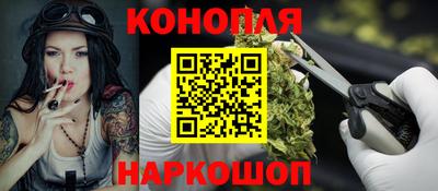 гашик Михайловск