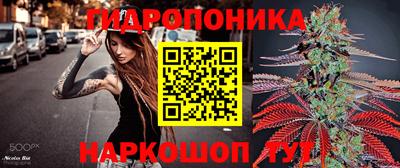 эйфоретик Михайловка