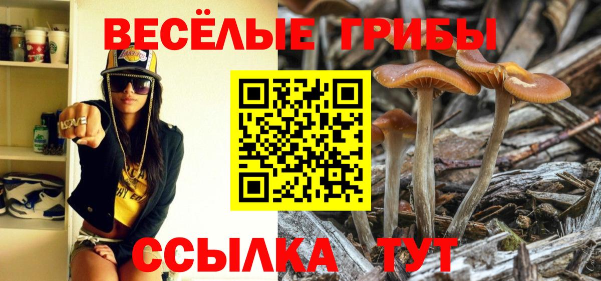 Псилоцибиновые грибы ЛСД Керчь