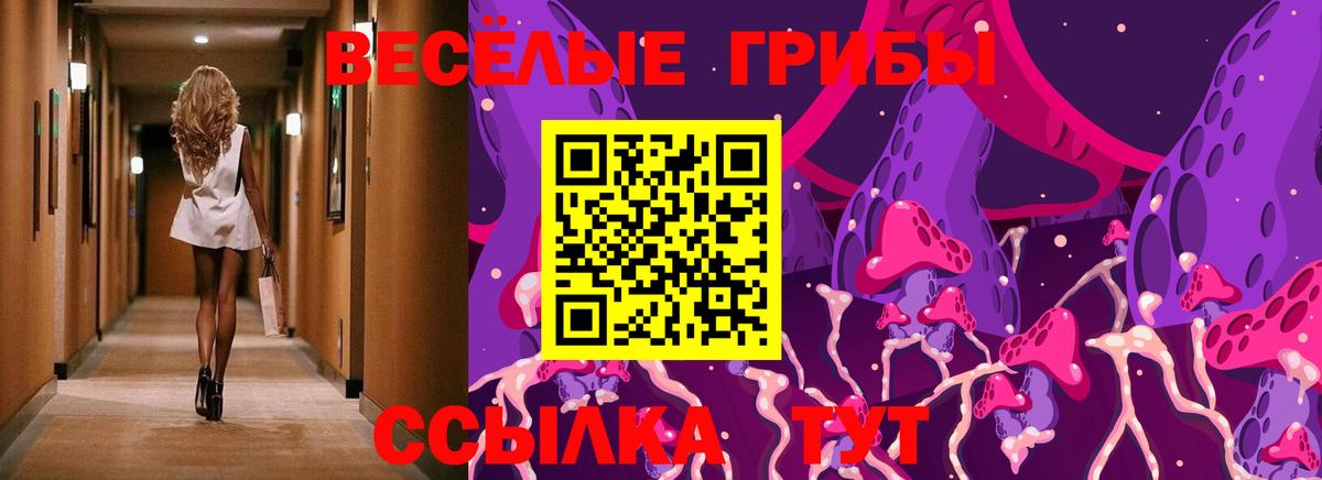 Галлюциногенные грибы Psilocybine cubensis  Вход с VPN  Керчь 